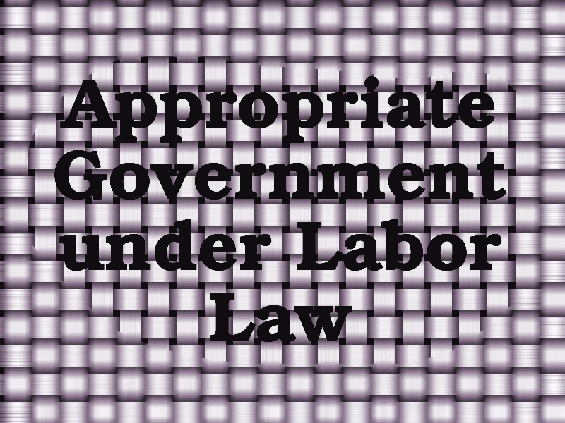 Appropriate Government under Labor Law